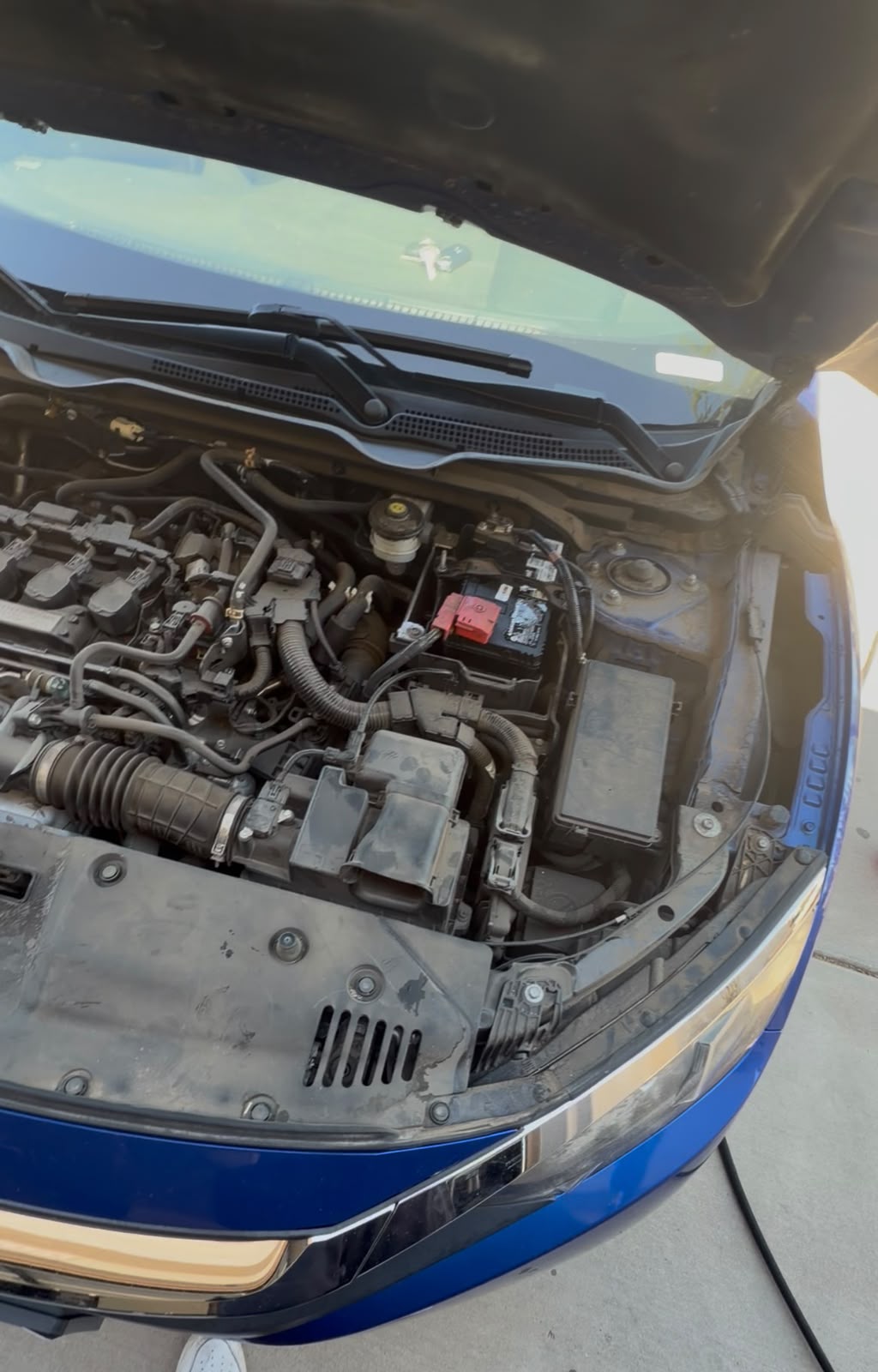 Engine bay before professional detailing